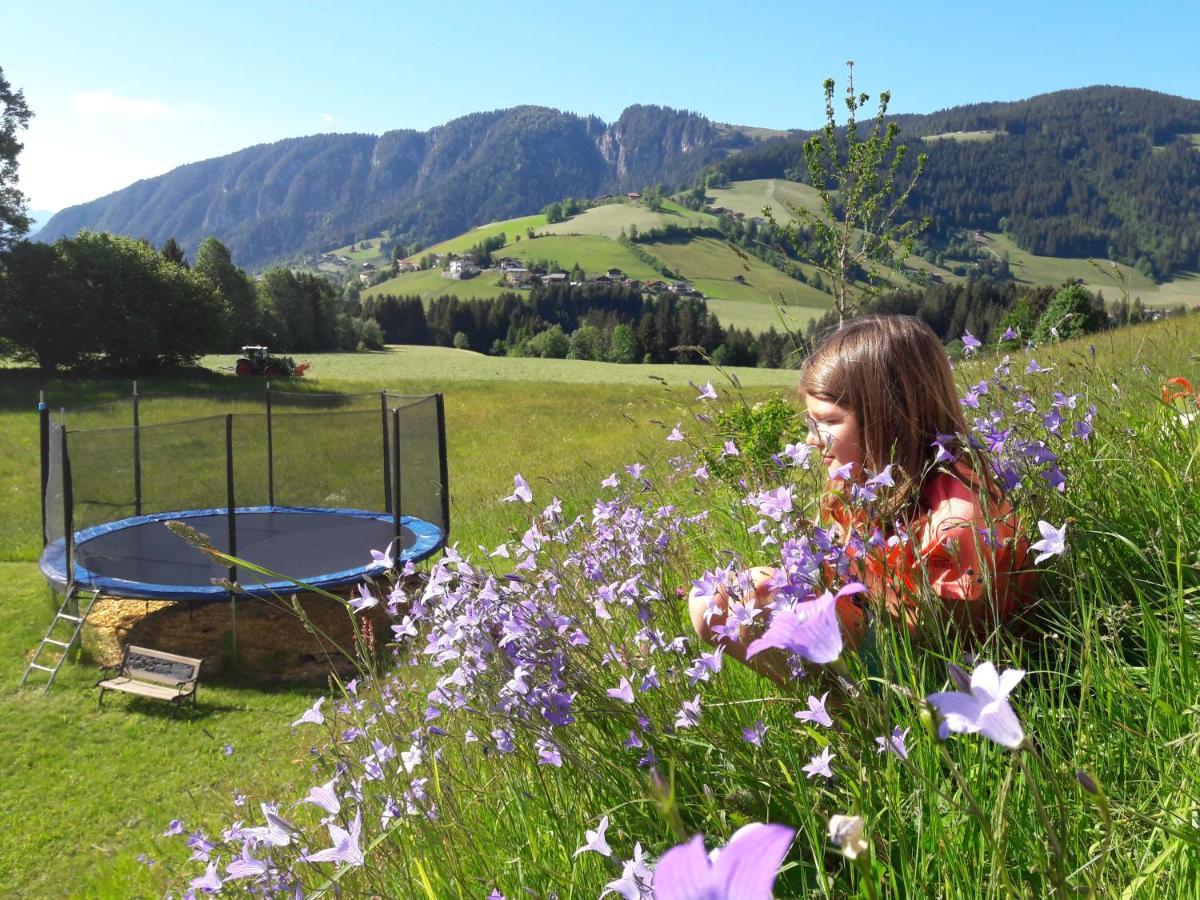 Appartements Alpenschloessl オーバーアウ エクステリア 写真